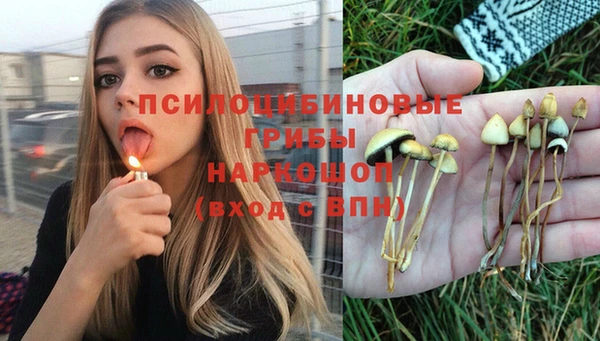 ECSTASY Горнозаводск