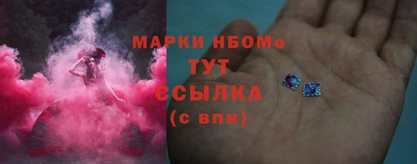 ГАЛЛЮЦИНОГЕННЫЕ ГРИБЫ Горняк