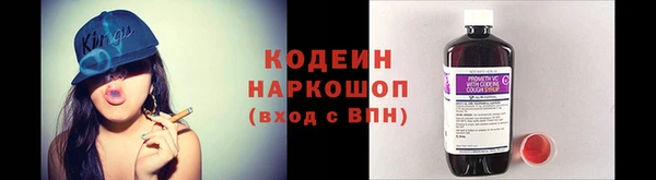 ГАЛЛЮЦИНОГЕННЫЕ ГРИБЫ Горняк