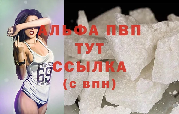 ГАЛЛЮЦИНОГЕННЫЕ ГРИБЫ Горняк