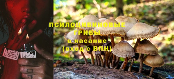 прущая мука Алагир