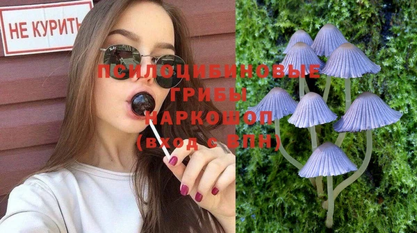 ГАЛЛЮЦИНОГЕННЫЕ ГРИБЫ Горняк