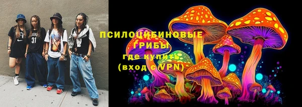 ECSTASY Горнозаводск
