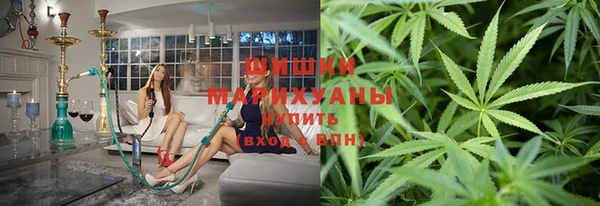 ГАЛЛЮЦИНОГЕННЫЕ ГРИБЫ Горняк