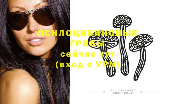 ГАЛЛЮЦИНОГЕННЫЕ ГРИБЫ Горняк