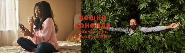 ГАЛЛЮЦИНОГЕННЫЕ ГРИБЫ Горняк