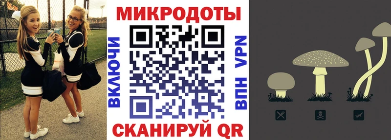 Псилоцибиновые грибы GOLDEN TEACHER  Заводоуковск 