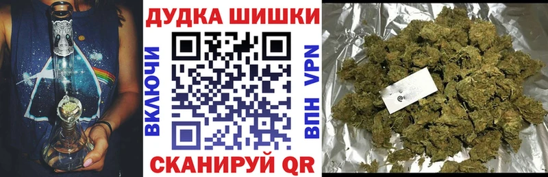 Каннабис план  это наркотические препараты  Заводоуковск 